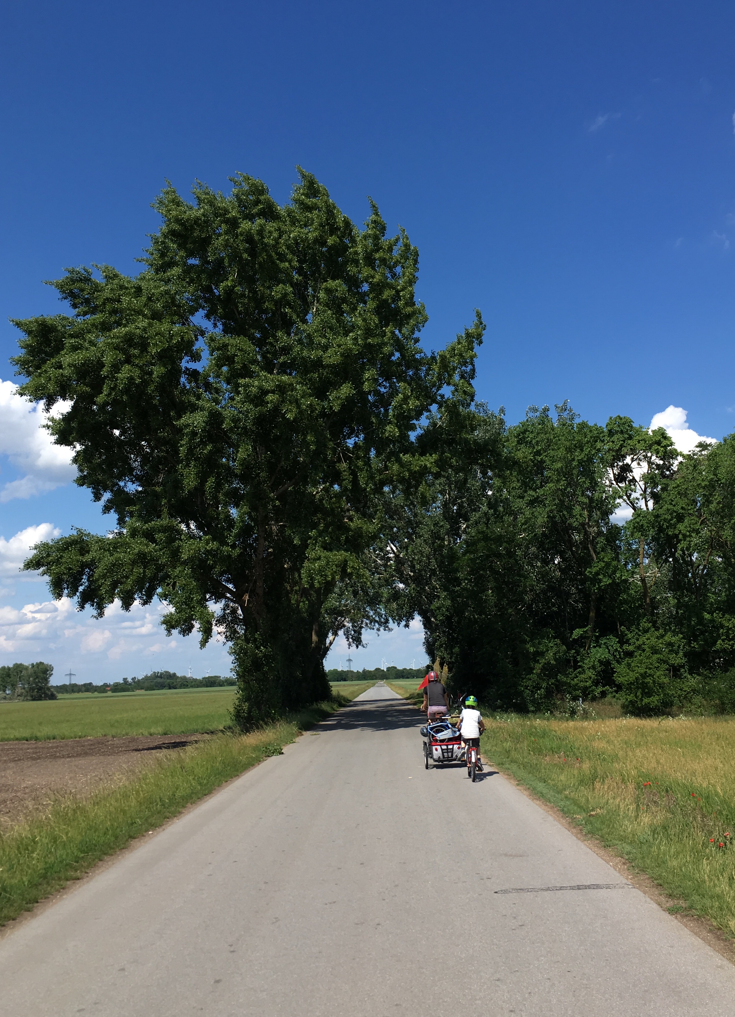 You are currently viewing Radtour zu fünft :: Entschleunigung per pedales